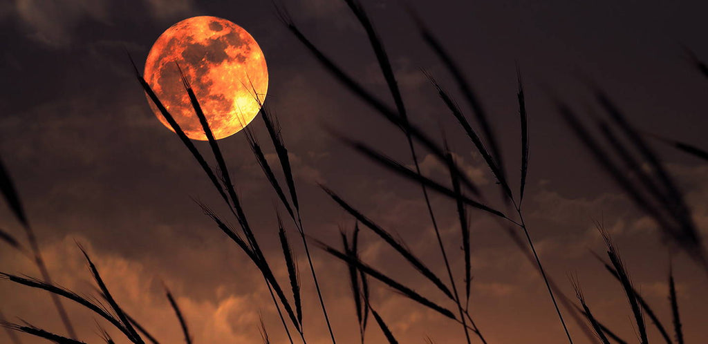 The Hay Moon