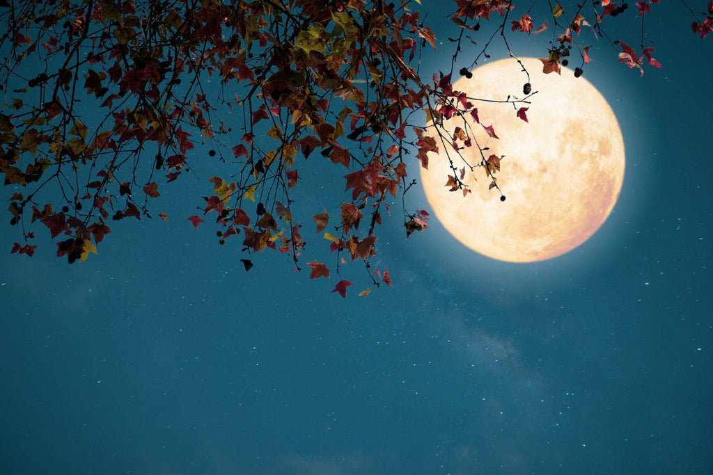 Hunter's Moon