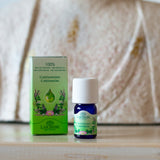 CARDAMOMO